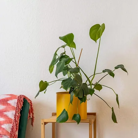 Next - Free Parking & Wifi - Badewanne アパート *