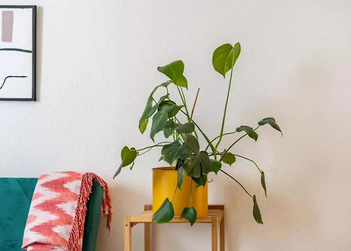 Next - Free Parking & Wifi - Badewanne アパート *